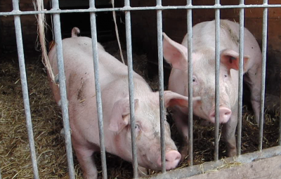 Bildschirmfoto 2013-09-15 um 17.56.08