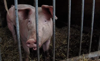 Bildschirmfoto 2013-09-23 um 23.53.58