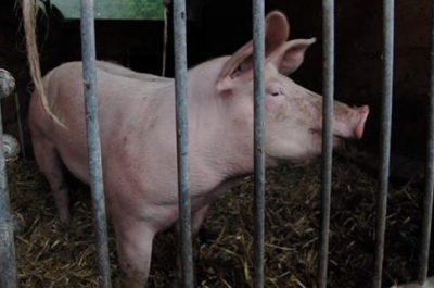 Bildschirmfoto 2013-09-23 um 23.54.12