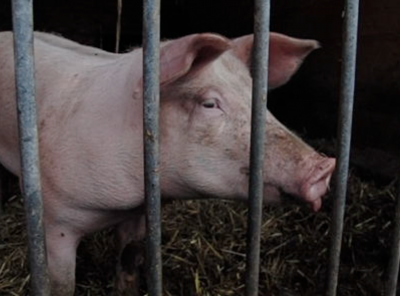 Bildschirmfoto 2013-09-23 um 23.54.45