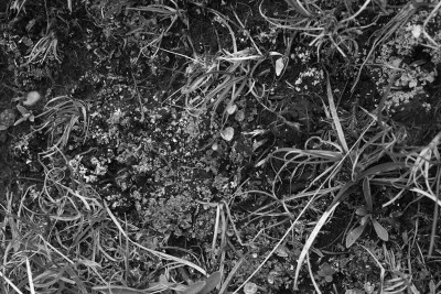 12_decay_sandra_bartoli