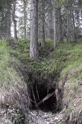 19_5_steps_sandra_bartoli