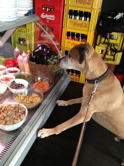 His favorite deli and TV channel Luigi Zuckermann