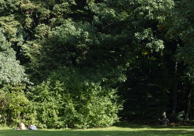 49_picnic_sandra_bartoli