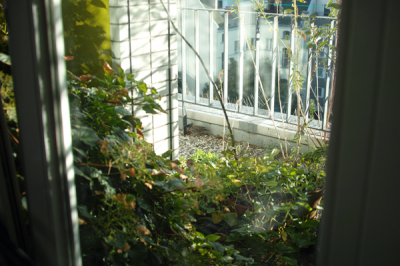 55_lurid_sandra_bartoli