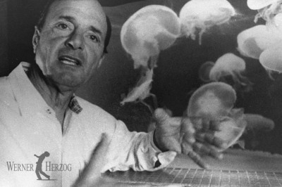 Dieter Dengler | Still