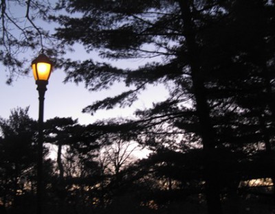 Thanksgiving evening 3