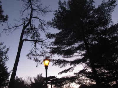 thanksgiving evening 2