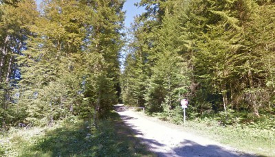 406-Bois de la Joux - Schweiz - Frankreich