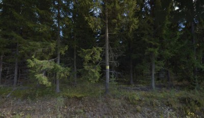 65-Kannaksäntie - Finnland - Russland