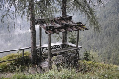 1_tiergarten_dolomites_sandra_bartoli